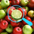 Icon of program: Find the differences Swee…