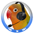 Icono de programa: Audio Loop (repeat,imitat…