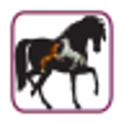 Horse Selfie Photo Frames icon