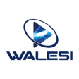 Icon of program: Walesi