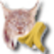 Icon of program: Handy