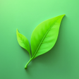 Icon of program: PlantHelper: Identifier  …