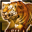 Icon of program: Tiger King Simulator