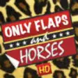 Icon of program: Only Flaps And Horses HD