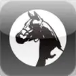 Icon of program: horseCam Online