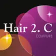 Icon of program: Hair 2.C