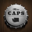 Icon of program: Washington Micro Caps