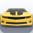 Icon of program: Crazy Car Driver
