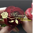 Icon of program: MOMENTS