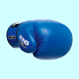 Icono de programa: PunchFit: Punch Fit Boxin…