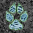 Icon of program: Critter Trax - Wild Anima…