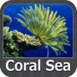Icon of program: Marine: Coral Sea - GPS M…