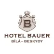 Icon of program: Hotel Bauer
