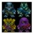 Icon of program: Steam Marines