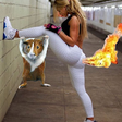 Icon of program: Funny Videos 2019 viral v…