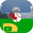 Icon of program: Bubba's Flying Baseball
