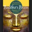 Icon of program: Buddha's Brain