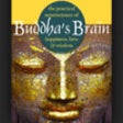Icon of program: Buddha's Brain