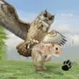 Icon of program: Horned Owl Simulator