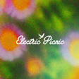 Icon of program: Electric Picnic