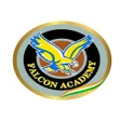 Icon of program: Falcon Academy