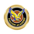 Icon of program: Falcon Academy