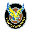 Icon of program: Falcon Academy