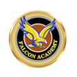 Icon of program: Falcon Academy