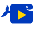 Icon of program: Video Downloader HD