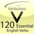 Icon of program: Verbuloso 120 Essential E…