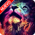 Icono de programa: Len Fondos de Pantalla