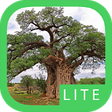 Icono de programa: eTrees of Southern Africa…