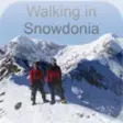Icon of program: Walking in Snowdonia