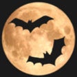 Icon of program: Halloween Photo Effects