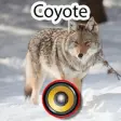 Icon of program: Real Coyote Hunting Calls…