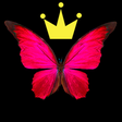 Icon of program: FLY Wallpapers Themes Pro