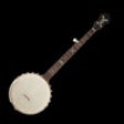 Icon of program: Banjo Tuner Simple