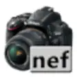 Icon of program: Free NEF to JPG Converter
