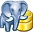 Icon of program: PostgreSQL Maestro