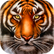 Icon of program: Wild Tiger Survival - Ani…