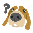Icon of program: What Kind of Dog Are You …