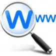 Icon of program: DNSS Domain Name Search S…