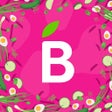 Icon of program: Barbora