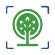 Icon of program: Forest Tree Identificatio…