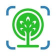 Icon of program: Forest Tree Identificatio…
