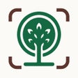 Icon of program: Forest Tree Identificatio…