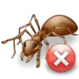 Icon of program: Pest Control Service