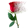 Icon of program: Dispersion effect Pixel e…