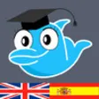Icon of program: Learn Spanish Vocabulary:…