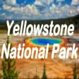 Icon of program: Yellowstone-National-Park